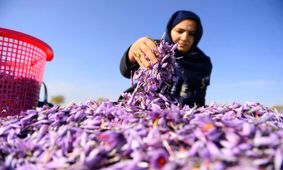 تسهیلات مشاغل خانگی چقدر شد؟
