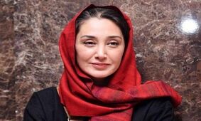 عصبانیت استاندار مازندران از اعتراض هدیه تهرانی و سایر هنرمندان به احداث پتروشیمی میانکاله/ ویدئو
