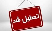تعطیلی 2 روزه مراکز آموزشی خراسان جنوبی در پی تشدید پیک آنفلوانزا

