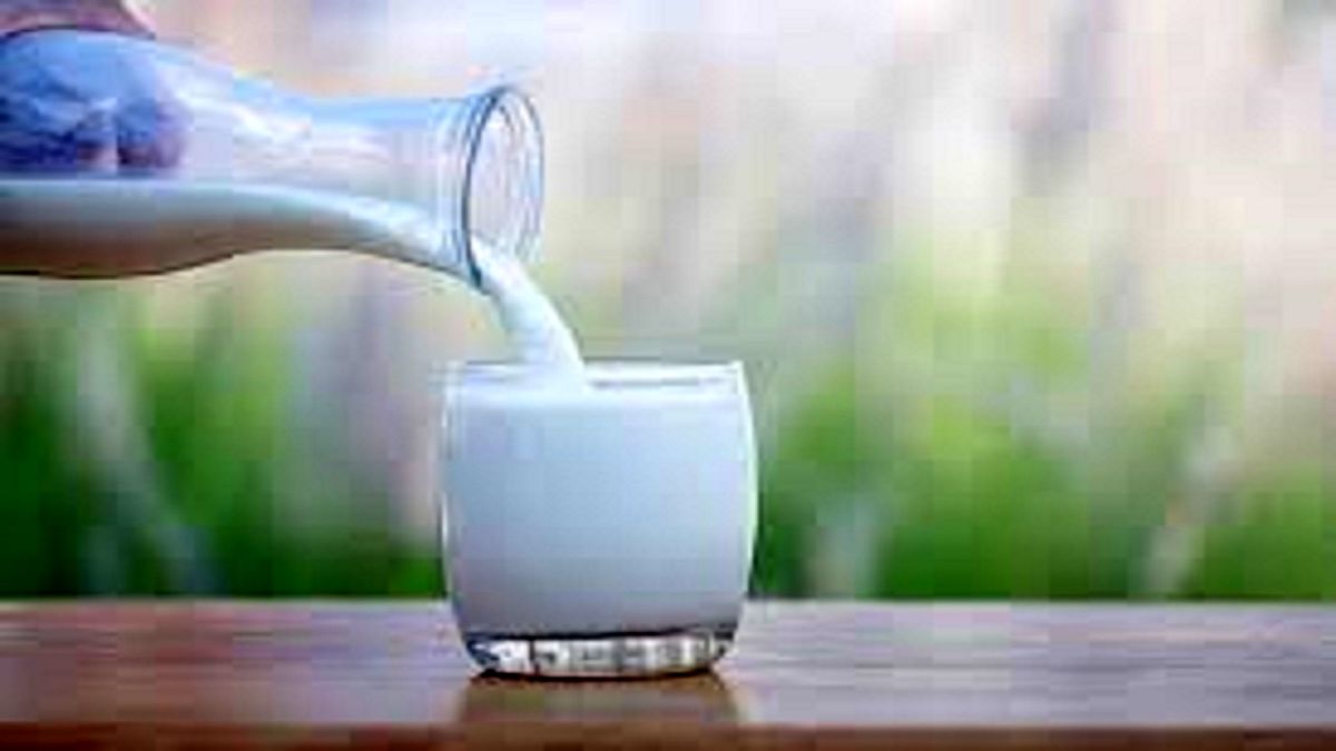 نوشیدن شیرهایی که شما را معتاد می کند