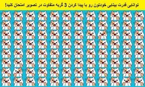 تست بینایی/  سه گربه متفاوت که در بین گربه های دیگر پنهان شده اند را پیدا کنید