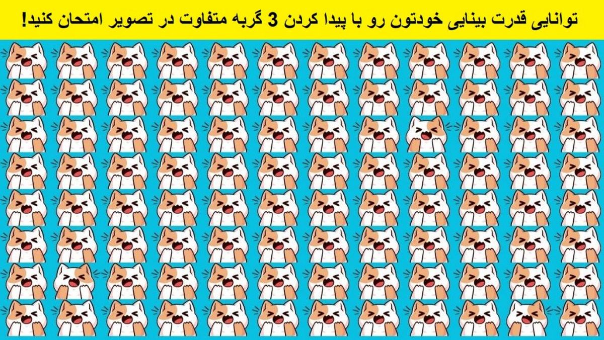 تست بینایی/  سه گربه متفاوت که در بین گربه های دیگر پنهان شده اند را پیدا کنید