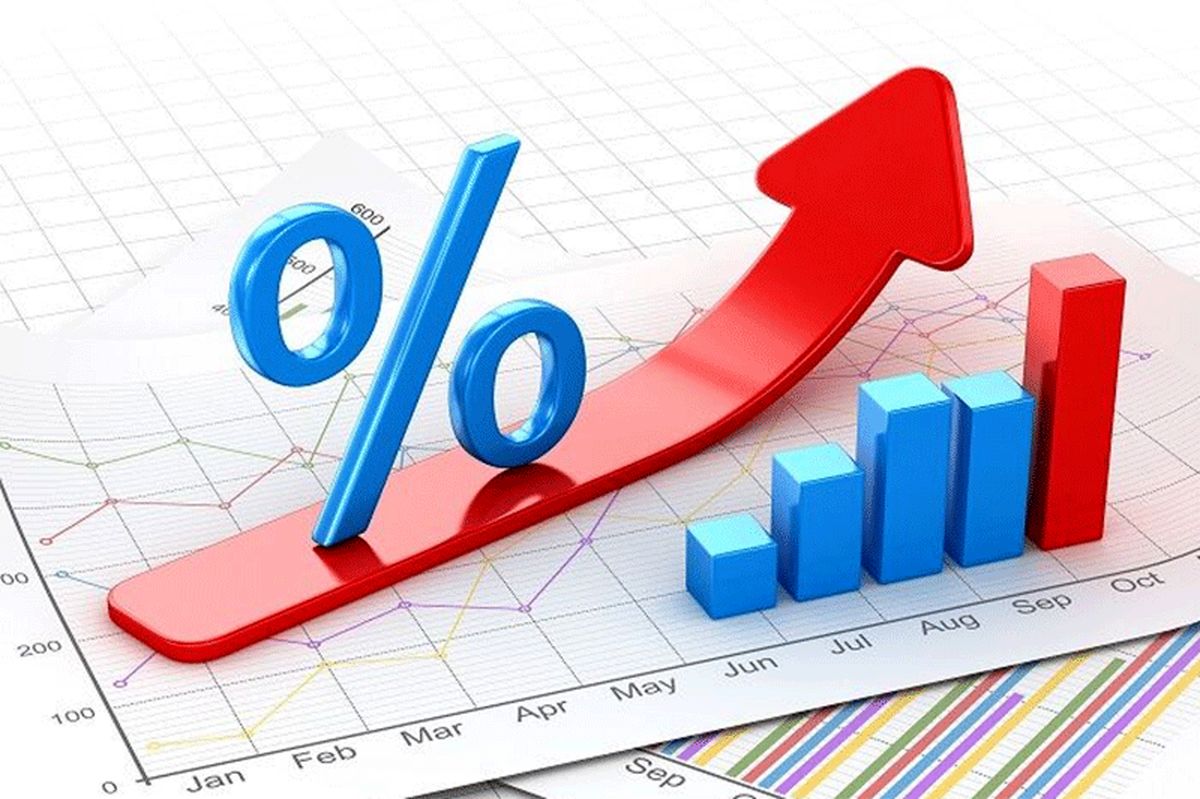 دولت توان کنترل گرانی را ندارد