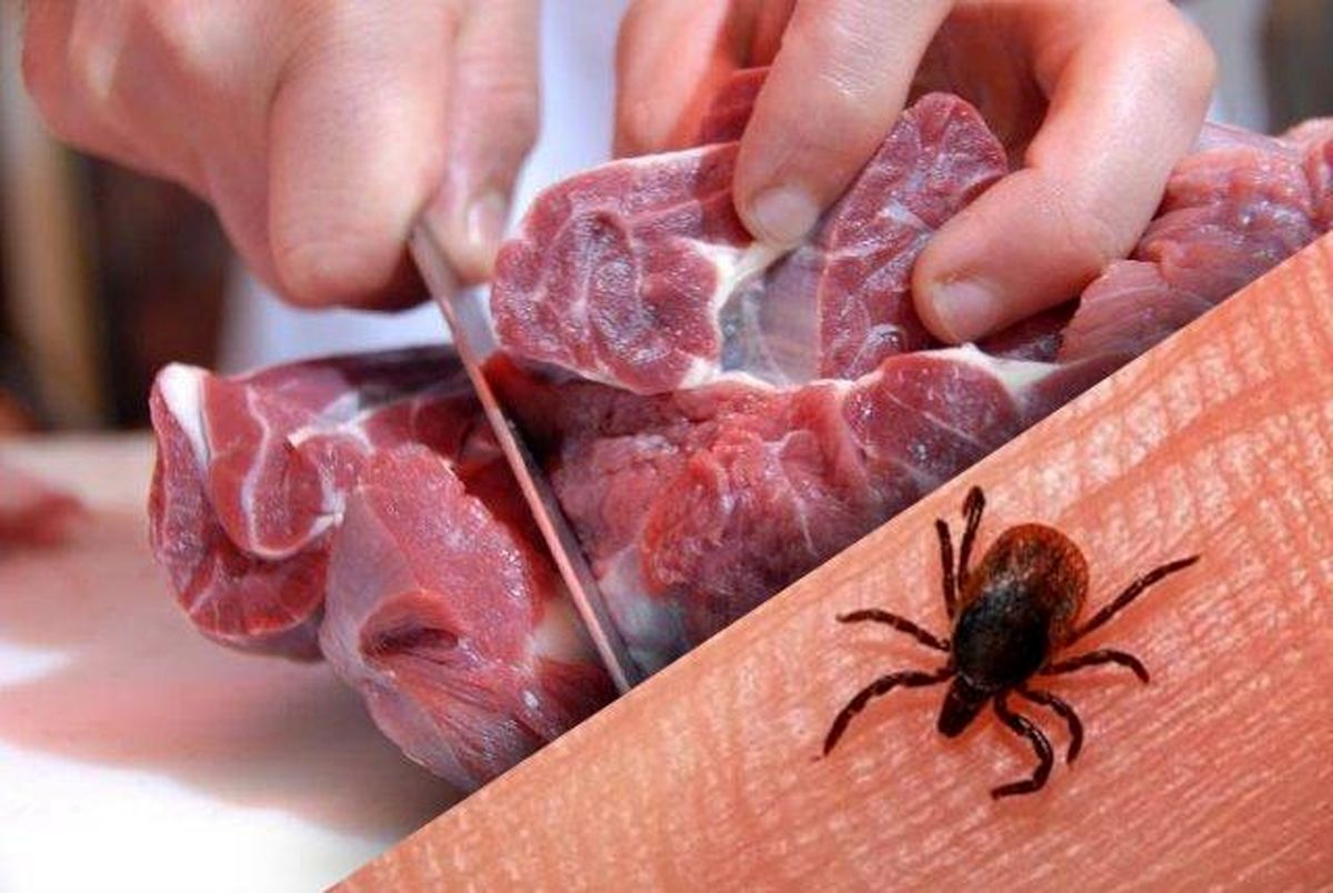 ۱۳ ابتلا و یک فوتی ناشی از تب کریمه کنگو