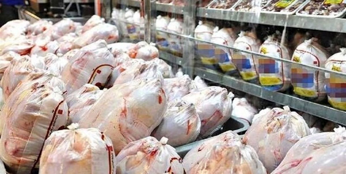 پر و بال تولید مرغ چیده شد