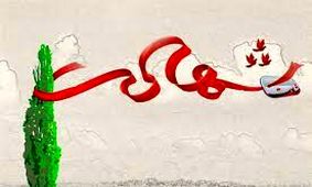 شهادت قهرمان ووشو در حملات وحشیانه رژیم صهیونیستی