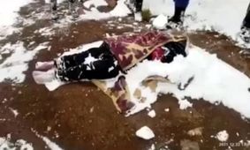 مرگ مادر پناهجوی افغانستانی در اثر یخزدگی در مرز ایران و ترکیه 