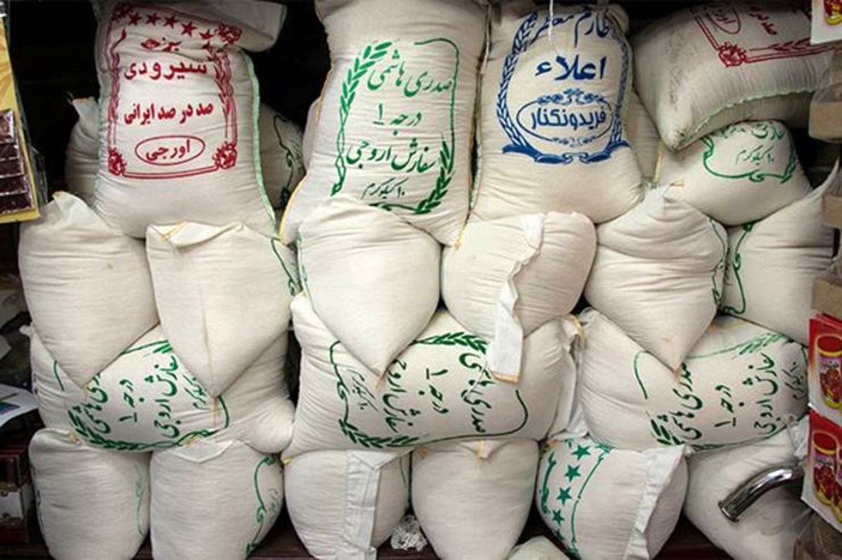 برنج باز هم گران می شود؟