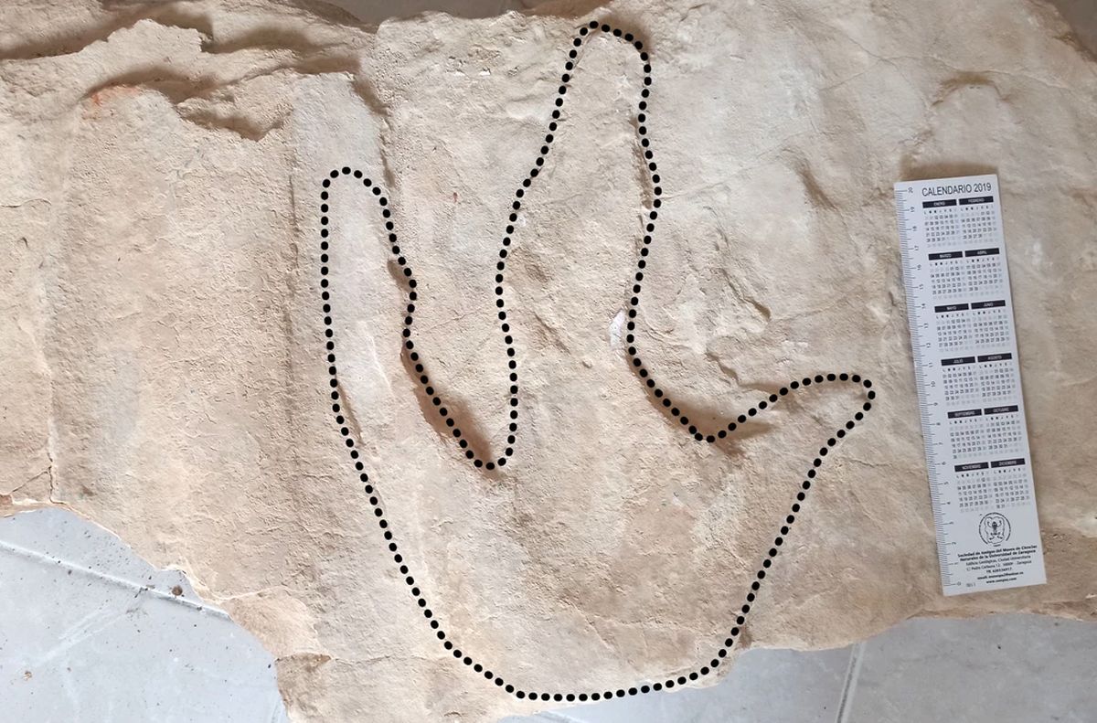 کشف ردپای ۱۴۰ میلیون سالۀ دایناسور در یک صومعه