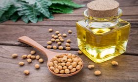 سویا، پروتئینی ویژه برای گیاه خواران